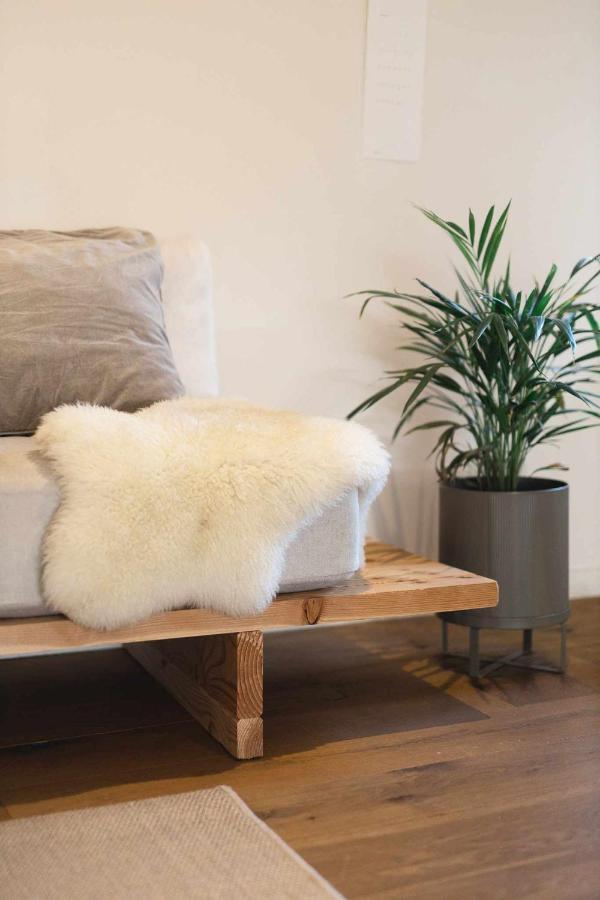 Cal Ouaire House Lohodihomes Viladesens Eksteriør bilde